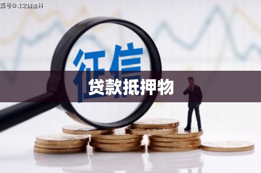 久治贷款抵押物