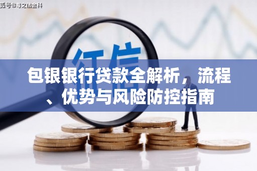 平安包银银行贷款全解析，流程、优势与风险防控指南