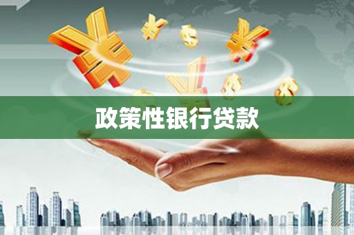 吉县政策性银行贷款