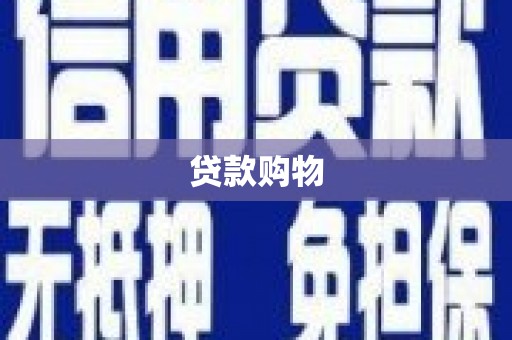 卢氏贷款购物