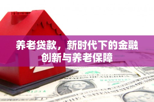 海盐养老贷款，新时代下的金融创新与养老保障