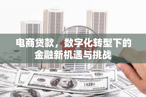 鹿谷电商贷款，数字化转型下的金融新机遇与挑战