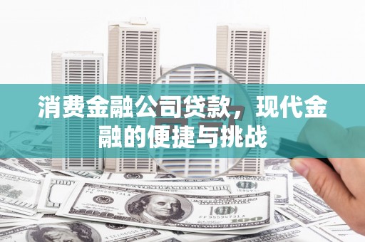 东宝消费金融公司贷款，现代金融的便捷与挑战