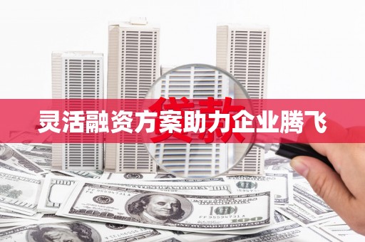 雨山灵活融资方案助力企业腾飞