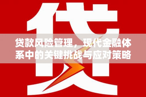 腾冲贷款风险管理，现代金融体系中的关键挑战与应对策略