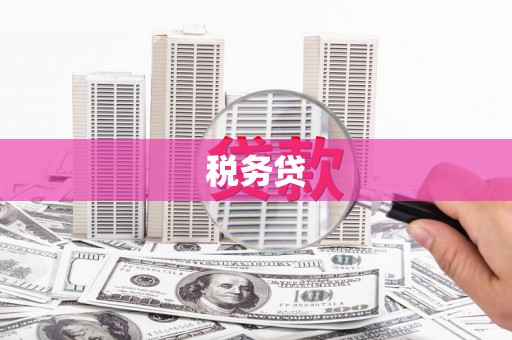 淮安税务贷