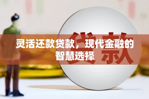 东乡族灵活还款贷款，现代金融的智慧选择