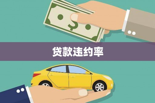 石排贷款违约率