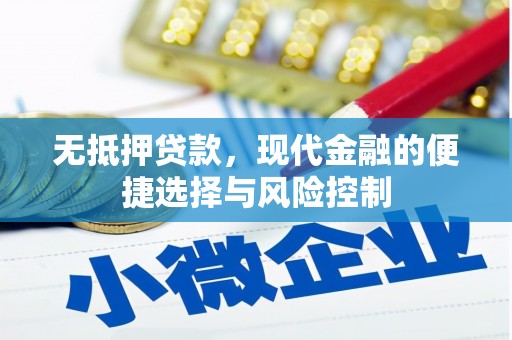 阳新无抵押贷款，现代金融的便捷选择与风险控制