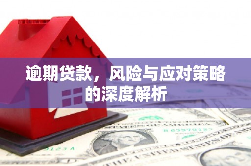 靖州逾期贷款，风险与应对策略的深度解析
