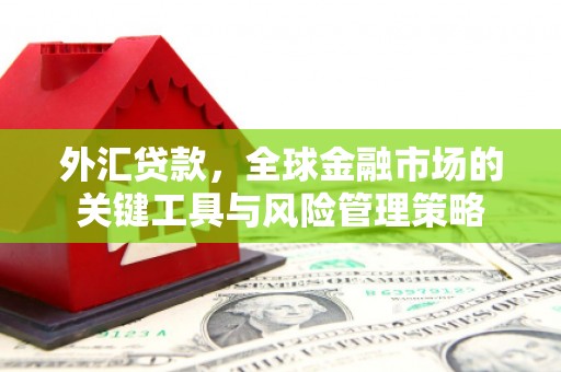 新埔外汇贷款，全球金融市场的关键工具与风险管理策略