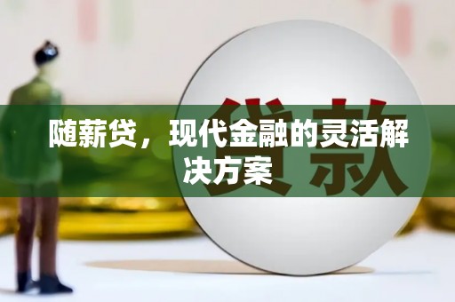 芦淞随薪贷，现代金融的灵活解决方案