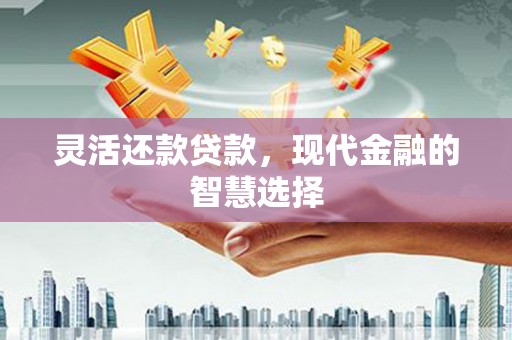 阜沙灵活还款贷款，现代金融的智慧选择
