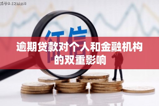 芦淞逾期贷款对个人和金融机构的双重影响