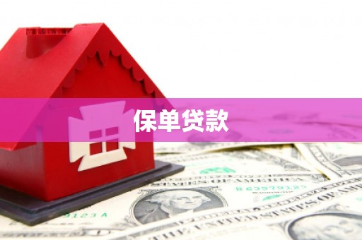 稷山保单贷款