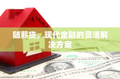 延津随薪贷，现代金融的灵活解决方案