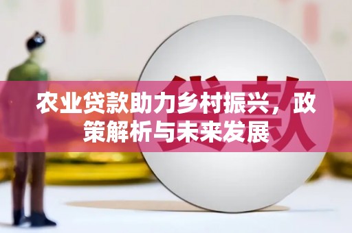 巍山农业贷款助力乡村振兴，政策解析与未来发展