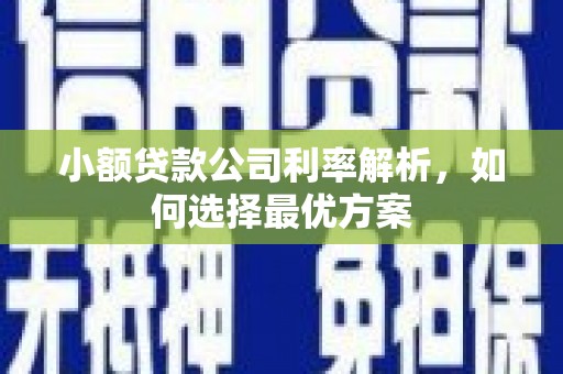 山阴小额贷款公司利率解析，如何选择最优方案