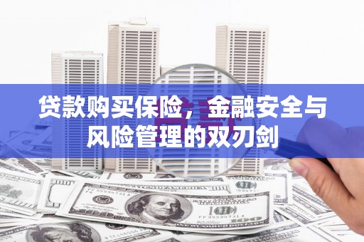 平舆贷款购买保险，金融安全与风险管理的双刃剑