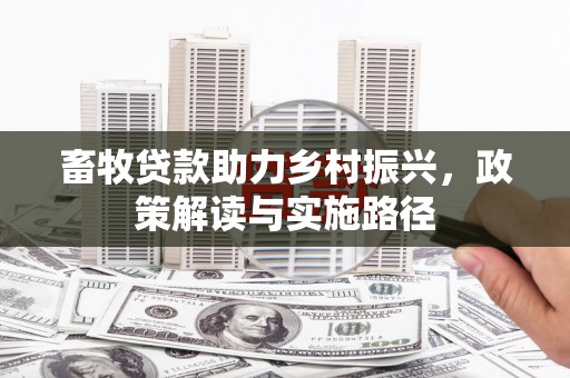 资兴畜牧贷款助力乡村振兴，政策解读与实施路径