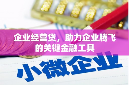 屏山企业经营贷，助力企业腾飞的关键金融工具