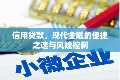 潍坊信用贷款，现代金融的便捷之选与风险控制