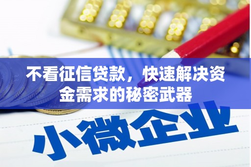 新华不看征信贷款，快速解决资金需求的秘密武器