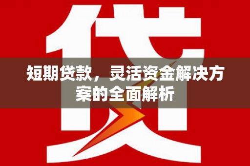 顺庆短期贷款，灵活资金解决方案的全面解析