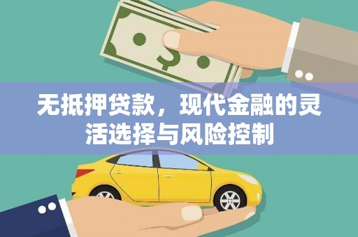 普格无抵押贷款，现代金融的灵活选择与风险控制