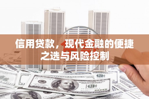 荔湾信用贷款，现代金融的便捷之选与风险控制