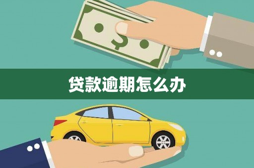 荔湾贷款逾期怎么办