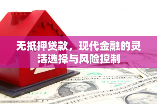 新河无抵押贷款，现代金融的灵活选择与风险控制