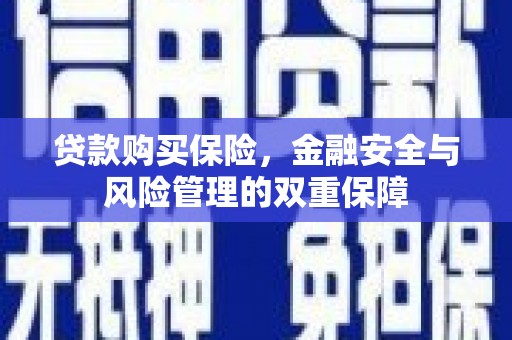 银川贷款购买保险，金融安全与风险管理的双重保障