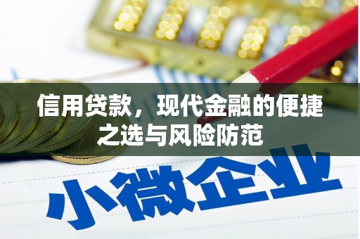 横县信用贷款，现代金融的便捷之选与风险防范