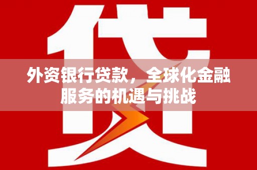 囊谦外资银行贷款，全球化金融服务的机遇与挑战