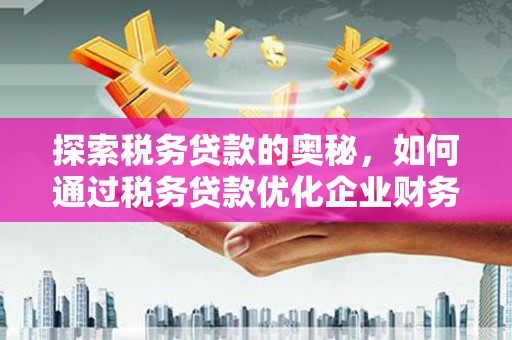 宁夏探索税务贷款的奥秘，如何通过税务贷款优化企业财务