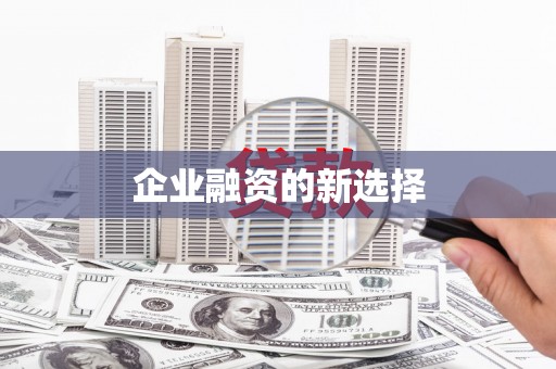 岳西企业融资的新选择