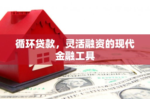 兴县循环贷款，灵活融资的现代金融工具
