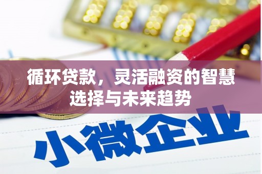双清循环贷款，灵活融资的智慧选择与未来趋势