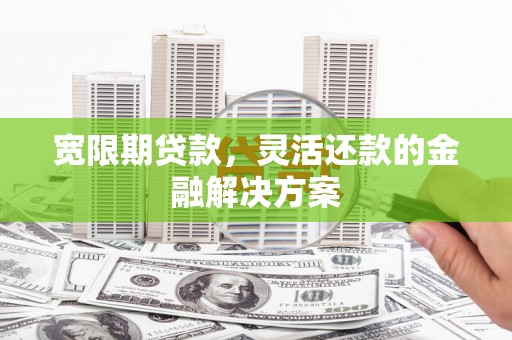 罗东宽限期贷款，灵活还款的金融解决方案