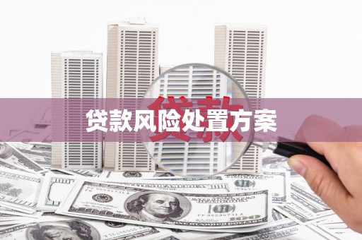 沁源贷款风险处置方案