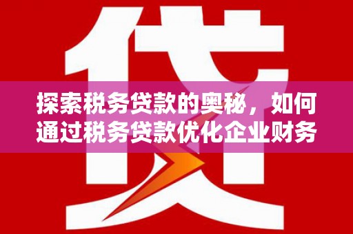保康探索税务贷款的奥秘，如何通过税务贷款优化企业财务