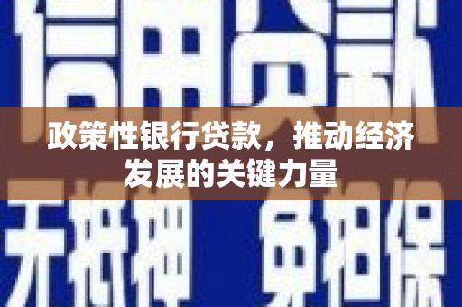 西固政策性银行贷款，推动经济发展的关键力量
