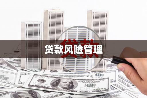 米林贷款风险管理