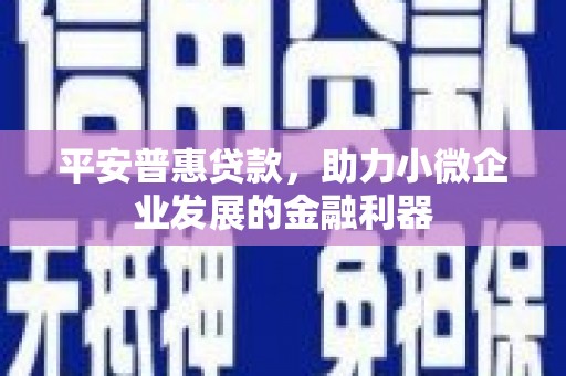 达茂旗平安普惠贷款，助力小微企业发展的金融利器
