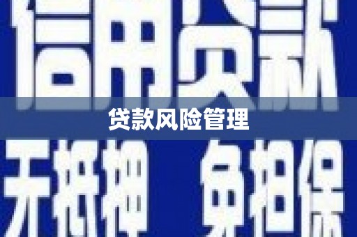 大林贷款风险管理