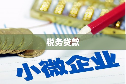 沧县税务贷款