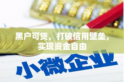 南郊黑户可贷，打破信用壁垒，实现资金自由