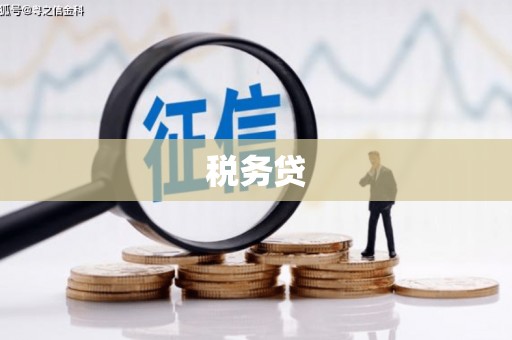 龙川税务贷
