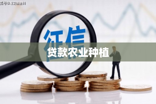 龙崎贷款农业种植